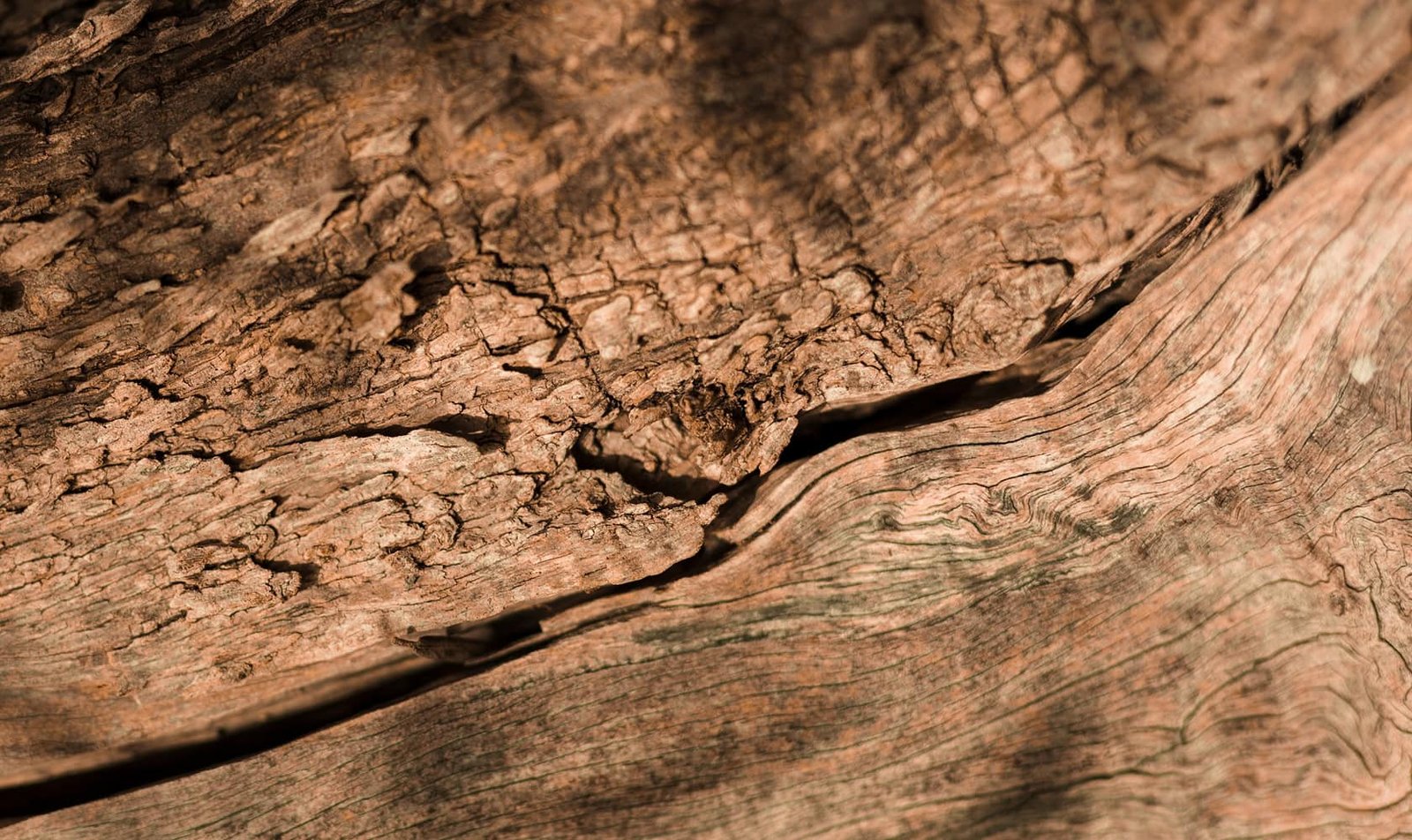 Artesano trabajando urna de madera